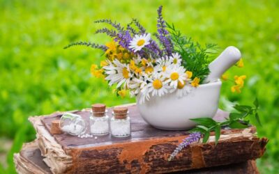 Homeopathy for Gut health
