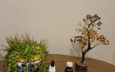 What can be treated with homeopathy