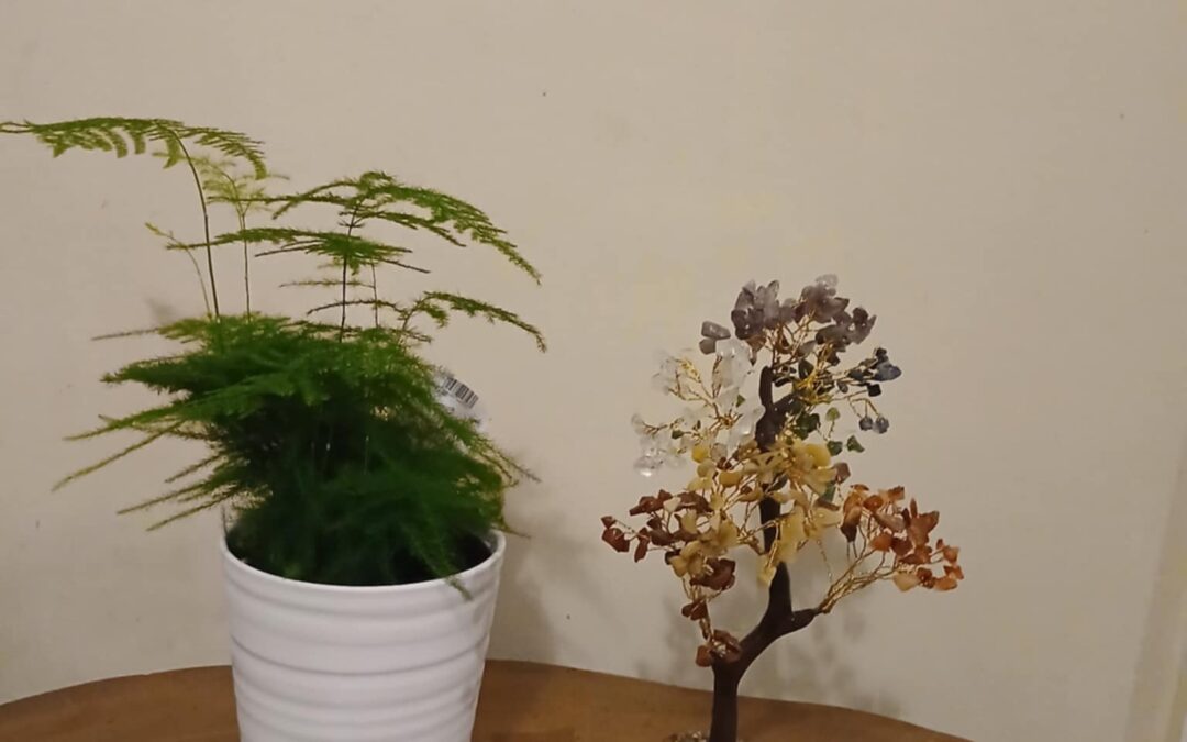 Homeopthic remedies to help exhaustion